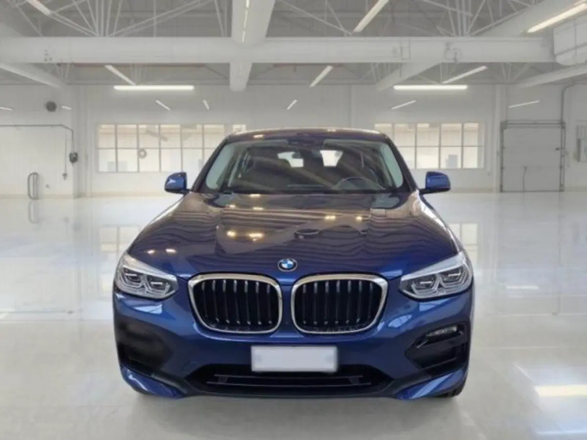 BMW X4 usata a Catania (3)