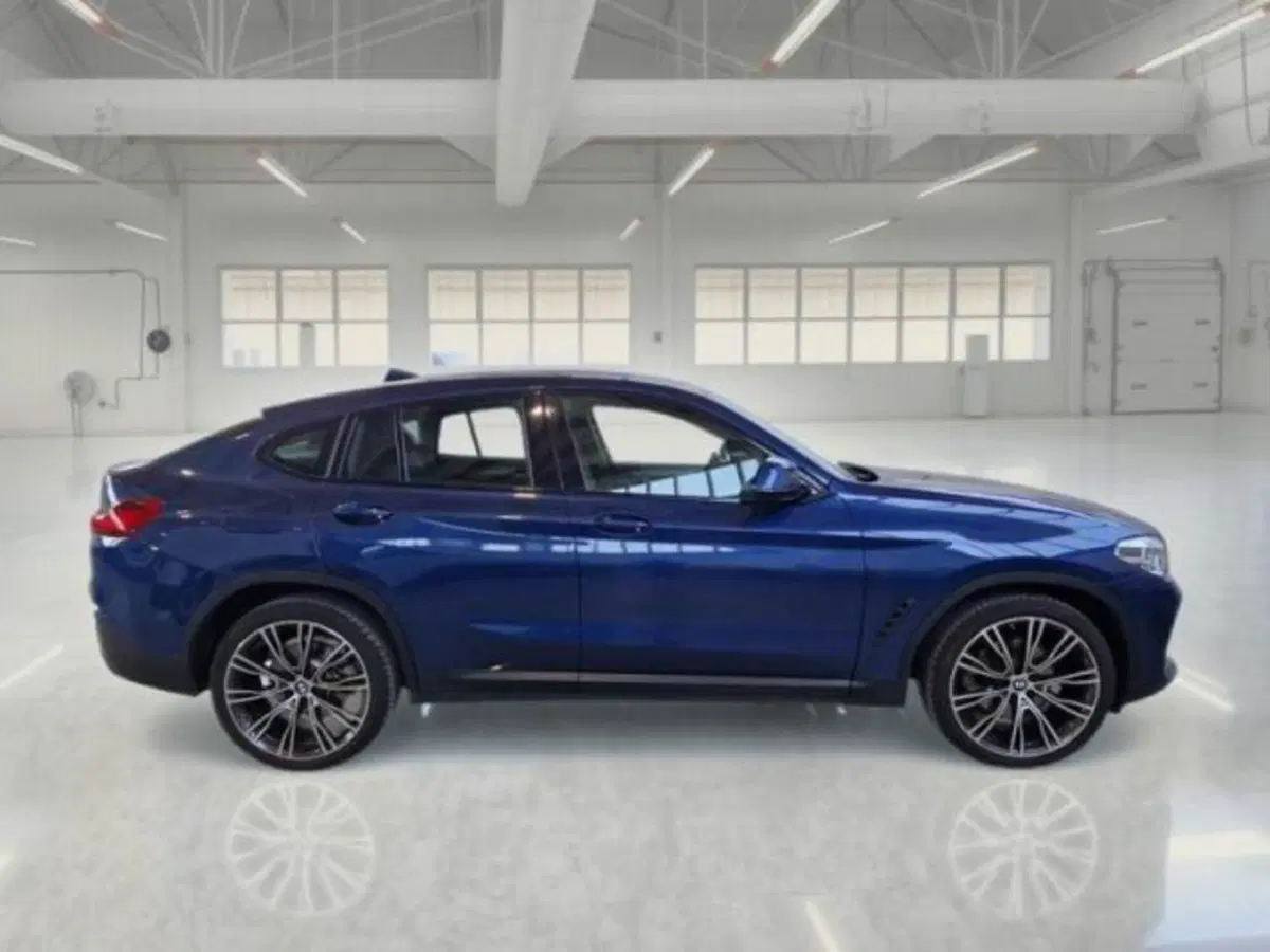 BMW X4 usata a Catania (4)