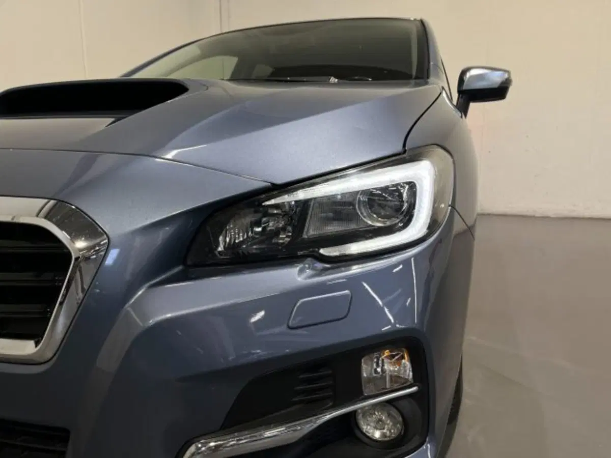 Subaru Levorg usata a Treviso (14)