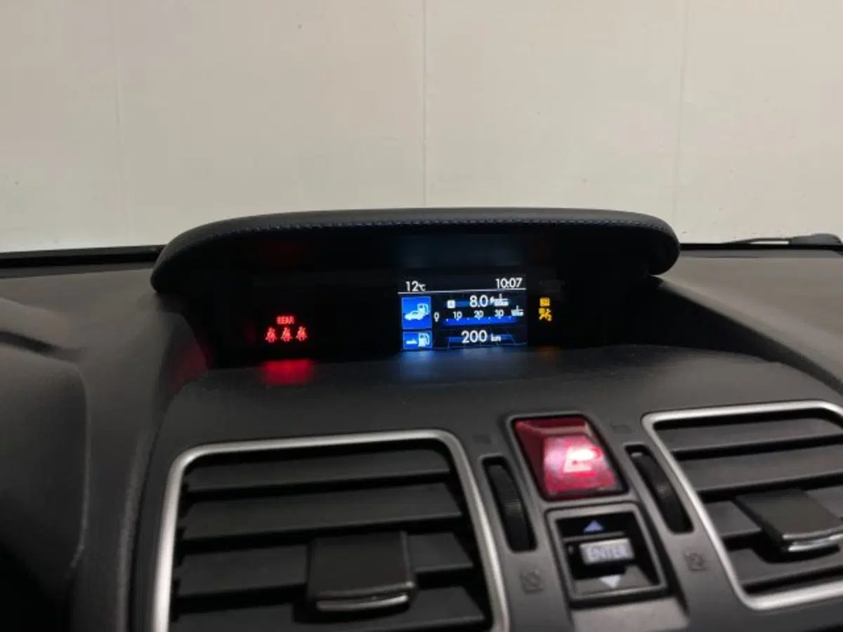 Subaru Levorg usata a Treviso (7)