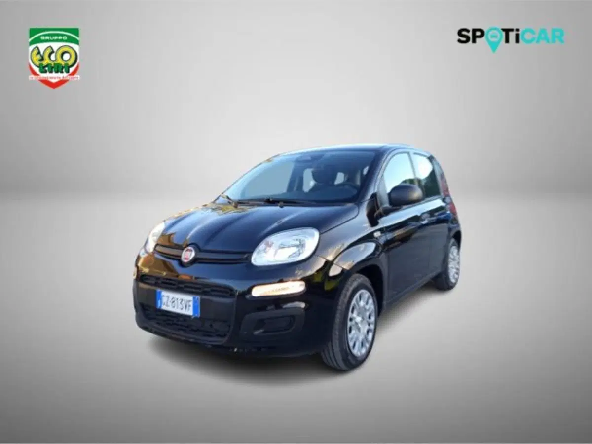 Fiat Panda nuova a Frosinone (11)