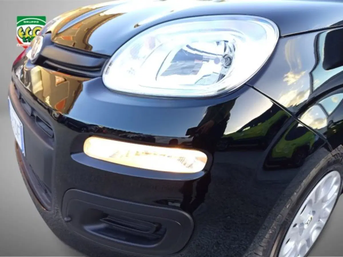 Fiat Panda nuova a Frosinone (10)