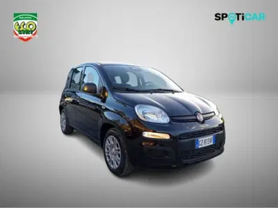 Fiat Panda 1.0 firefly hybrid s&s 70cv 5p.ti nuova a San Giorgio a Liri