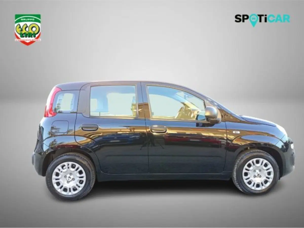 Fiat Panda nuova a Frosinone (2)