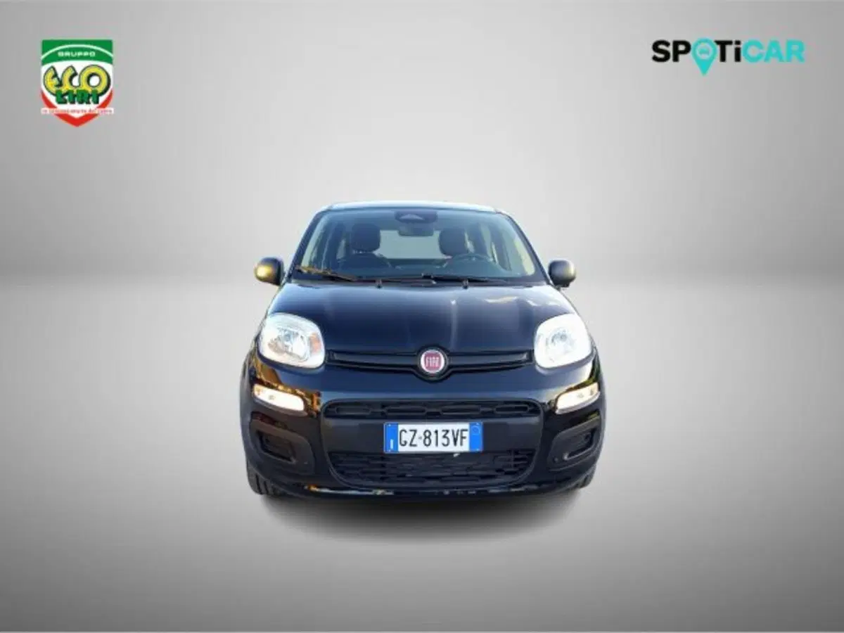 Fiat Panda nuova a Frosinone (12)