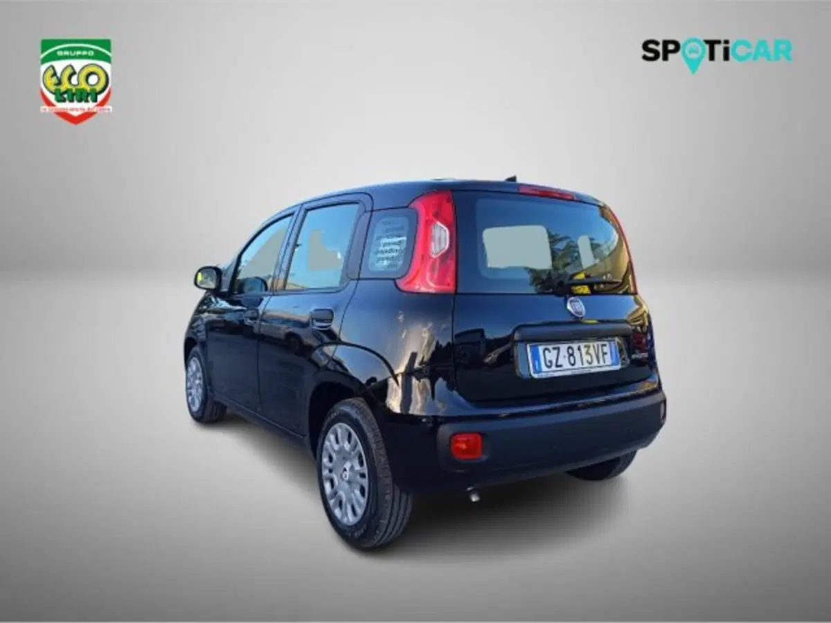 Fiat Panda nuova a Frosinone (14)
