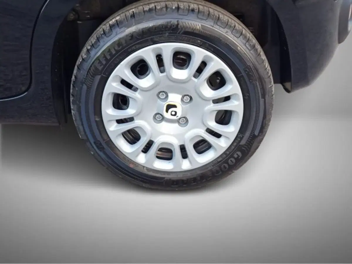 Fiat Panda nuova a Frosinone (3)
