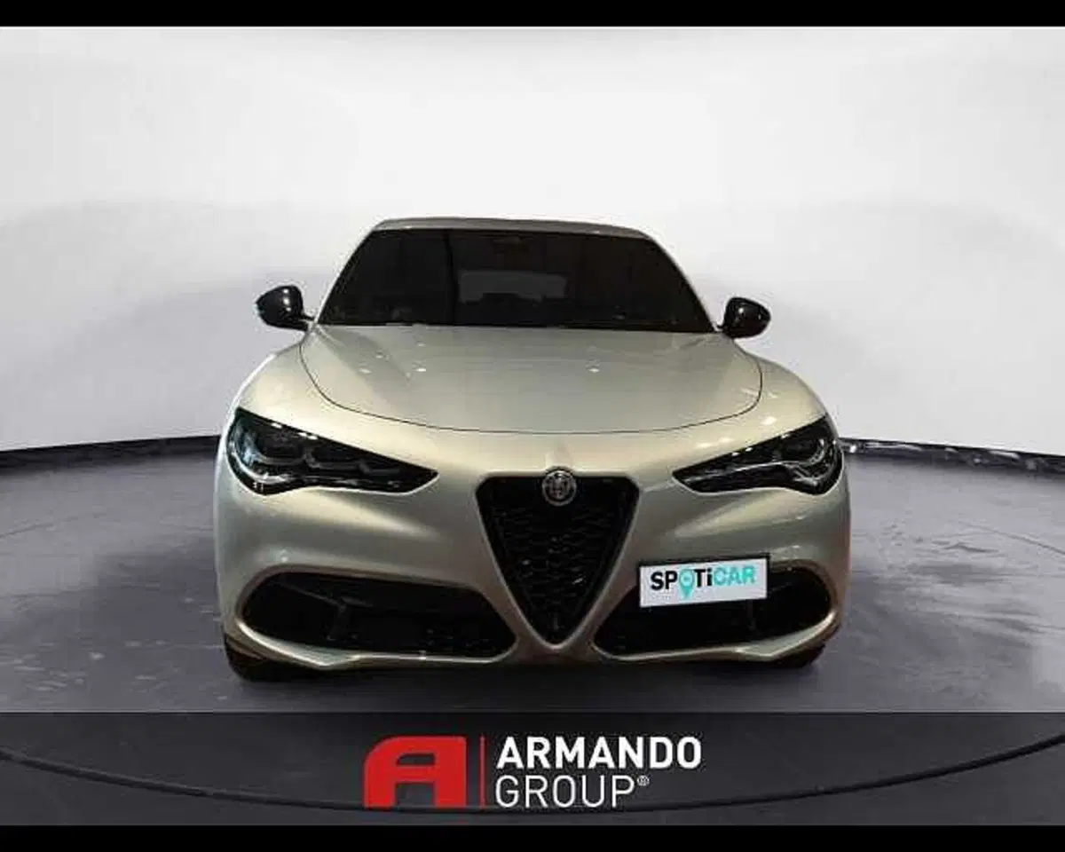 Alfa Romeo Stelvio usata a Cuneo (2)