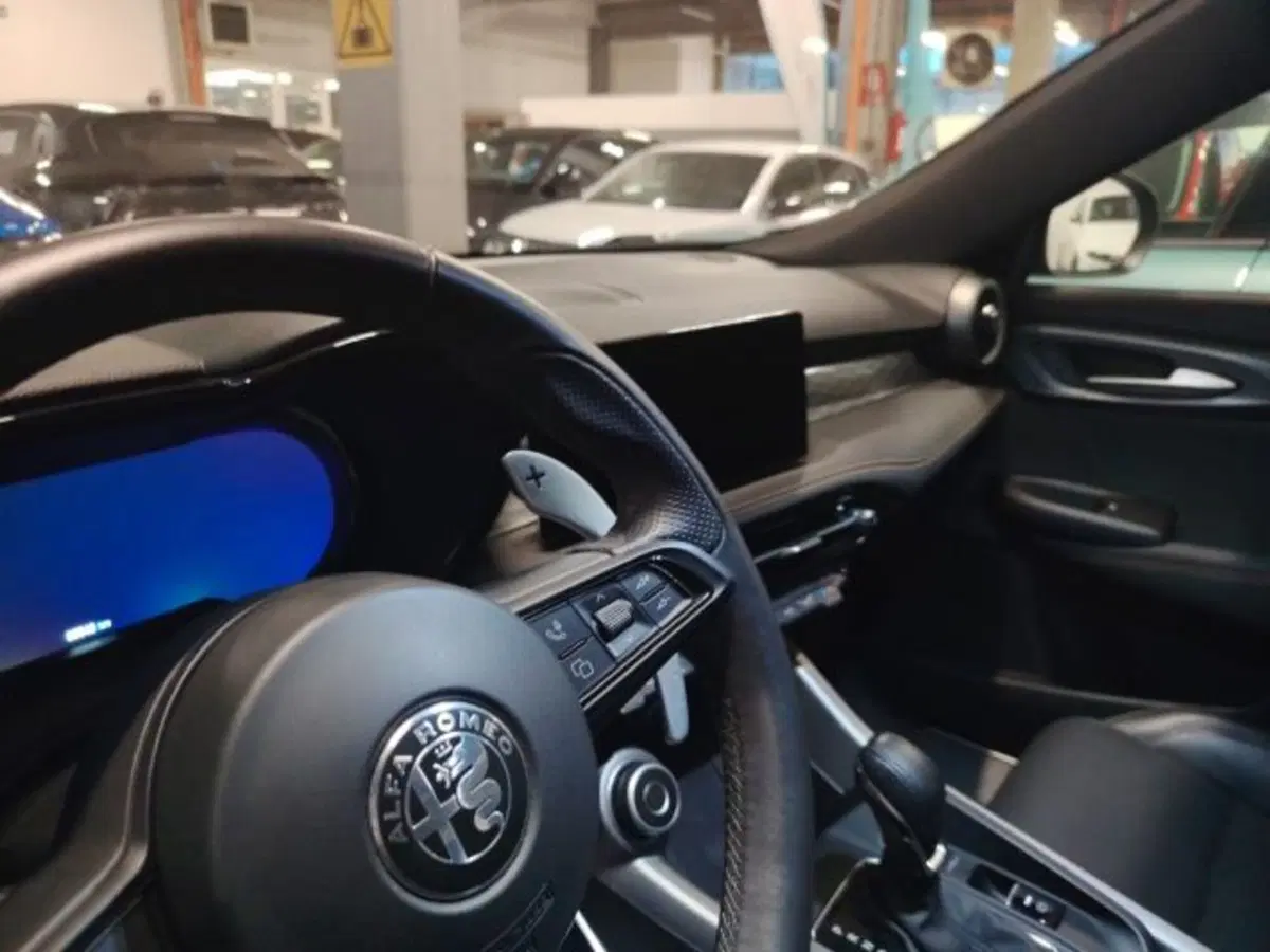 Alfa Romeo Tonale usata a Forlì-Cesena (18)