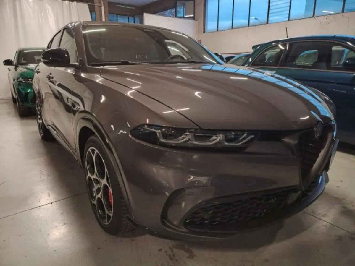 Alfa Romeo Tonale usata a Forlì-Cesena (2)