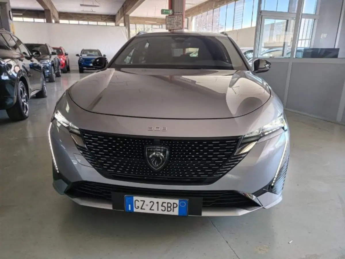 Peugeot 308 SW usata a Forlì-Cesena (3)