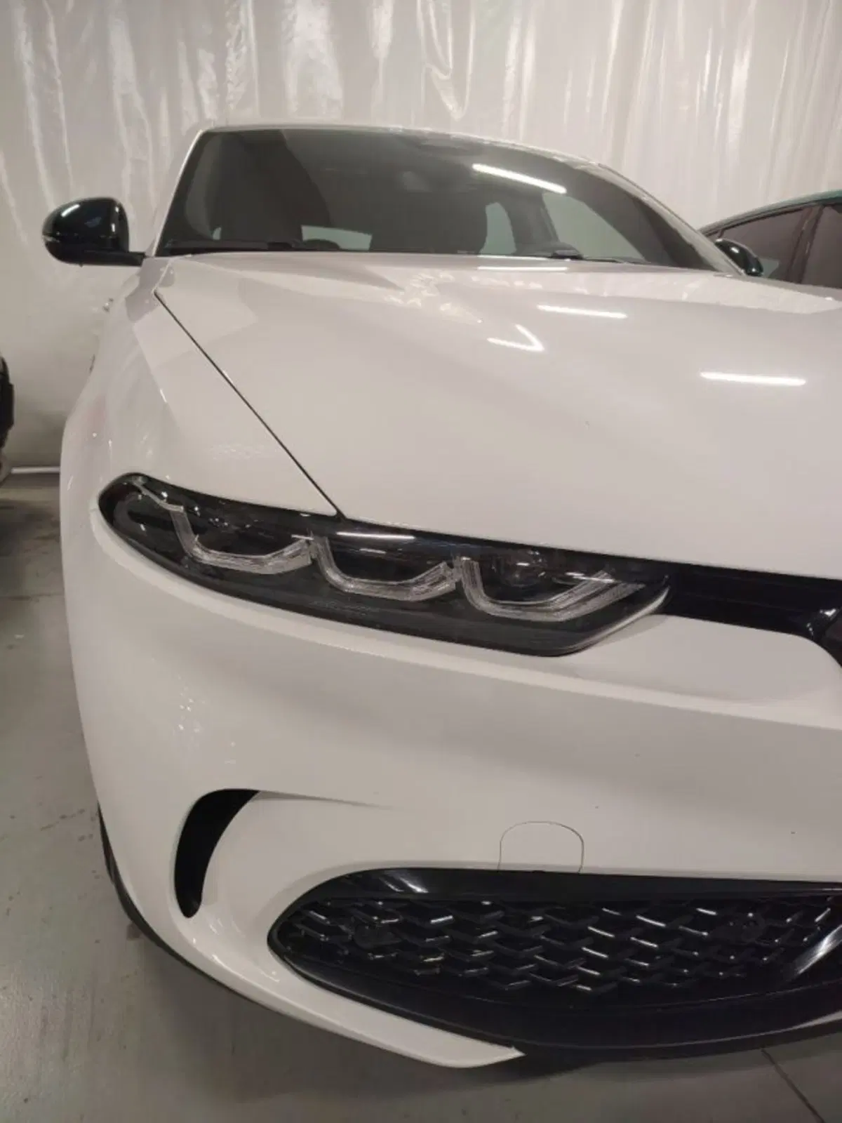 Alfa Romeo Tonale usata a Forlì-Cesena (10)