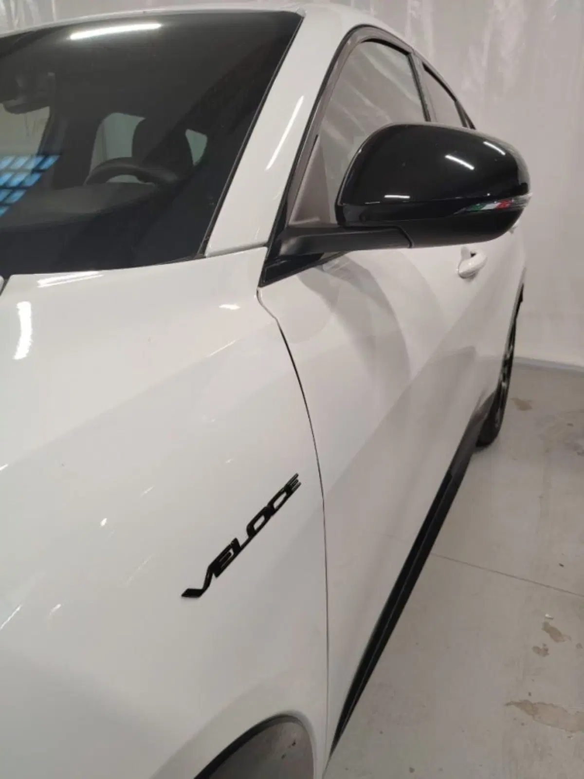 Alfa Romeo Tonale usata a Forlì-Cesena (11)