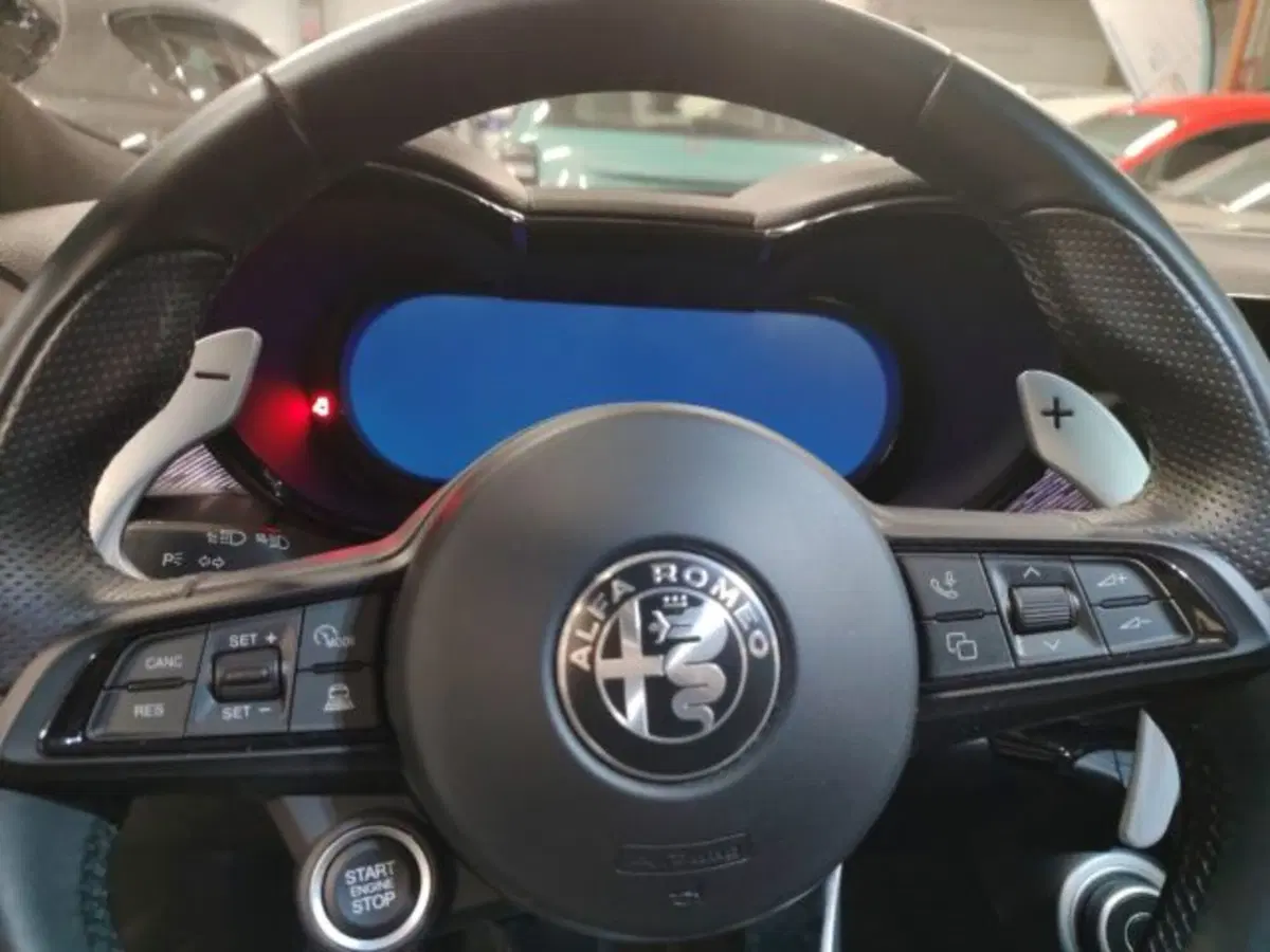 Alfa Romeo Tonale usata a Forlì-Cesena (18)