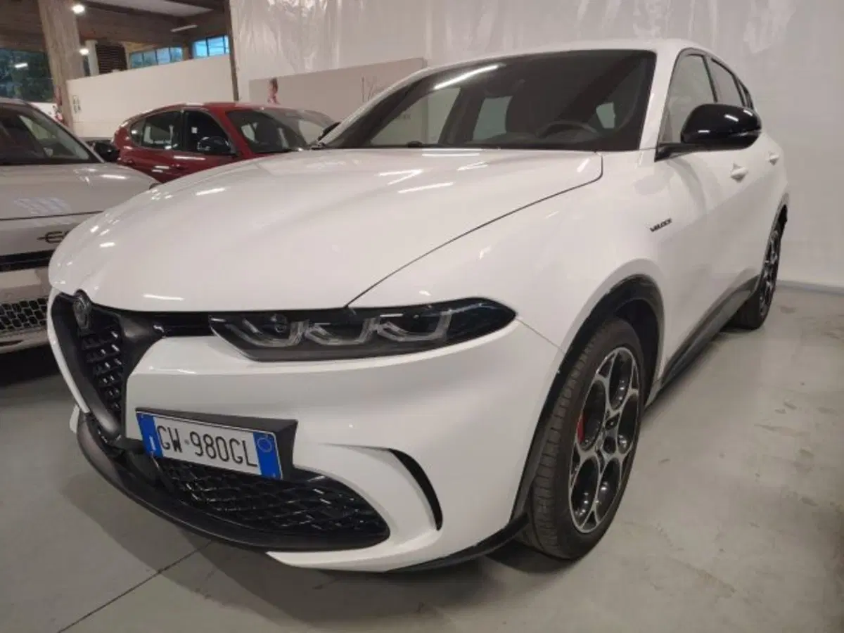 Alfa Romeo Tonale usata a Forlì-Cesena (2)