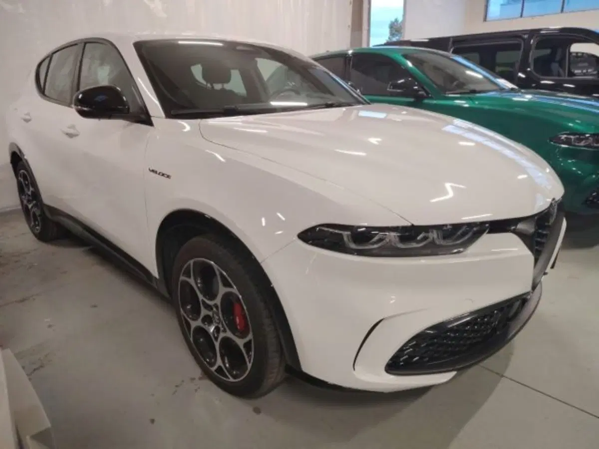 Alfa Romeo Tonale usata a Forlì-Cesena (3)