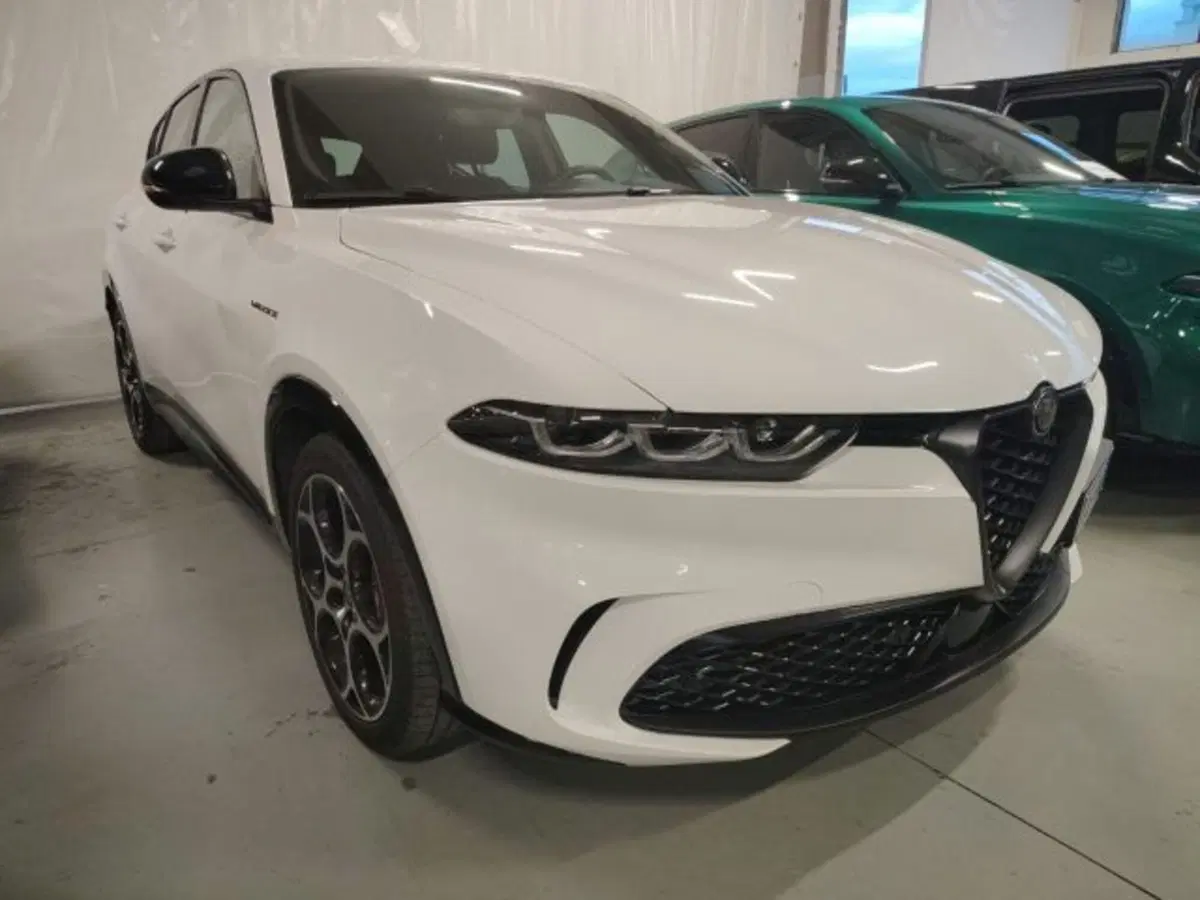 Alfa Romeo Tonale usata a Forlì-Cesena (4)