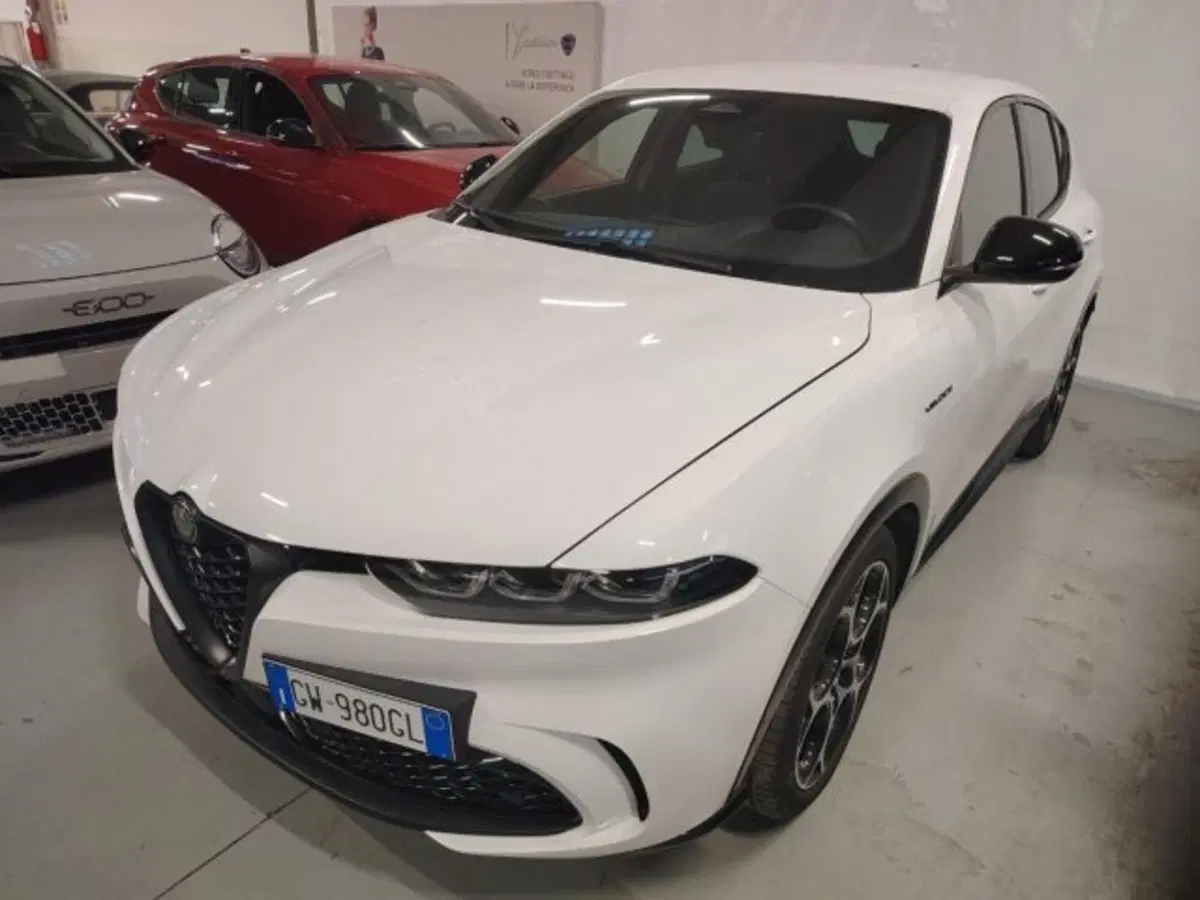 Alfa Romeo Tonale usata a Forlì-Cesena (5)