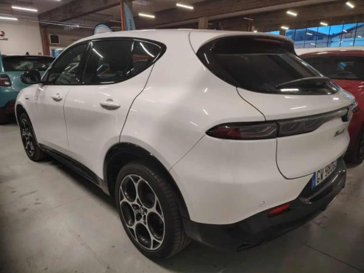 Alfa Romeo Tonale usata a Forlì-Cesena (7)