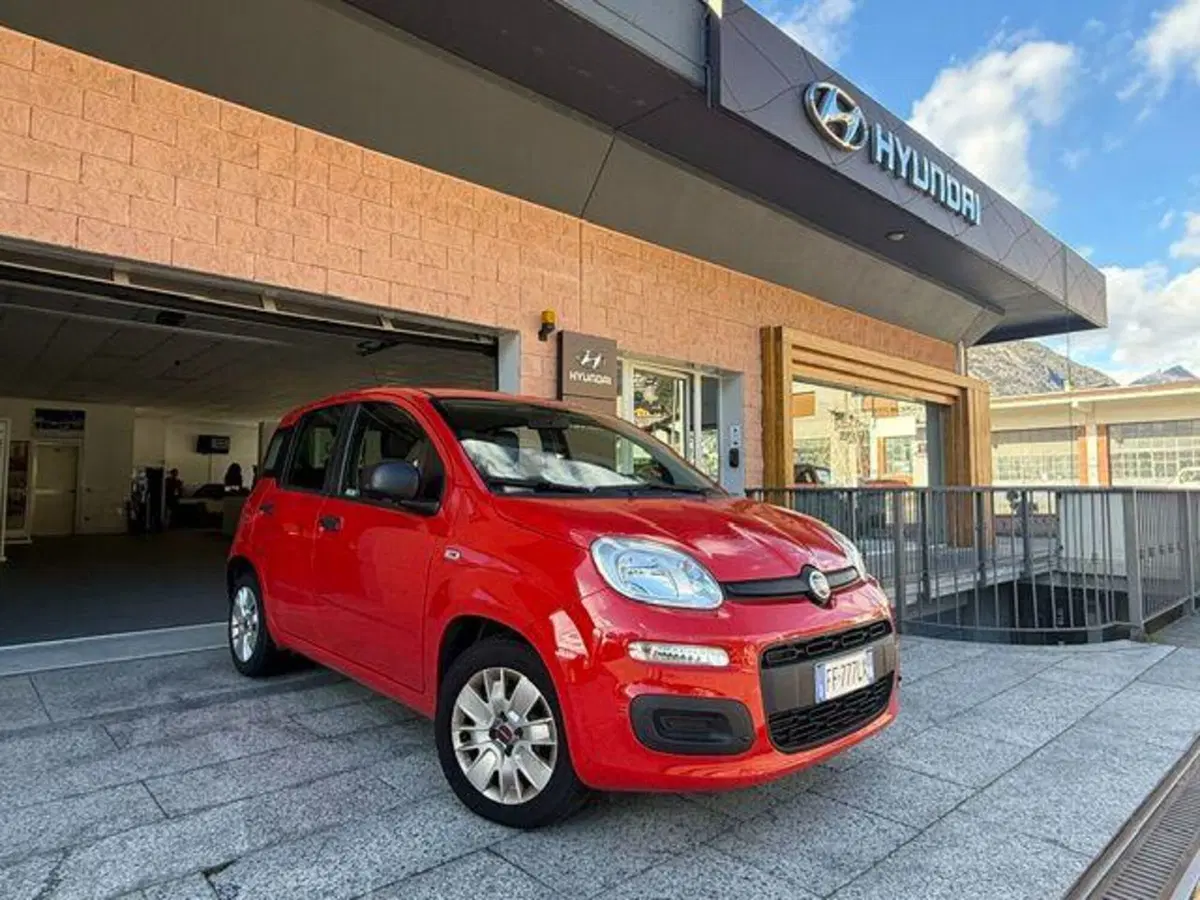Fiat Panda usata a Verbano Cusio Ossola