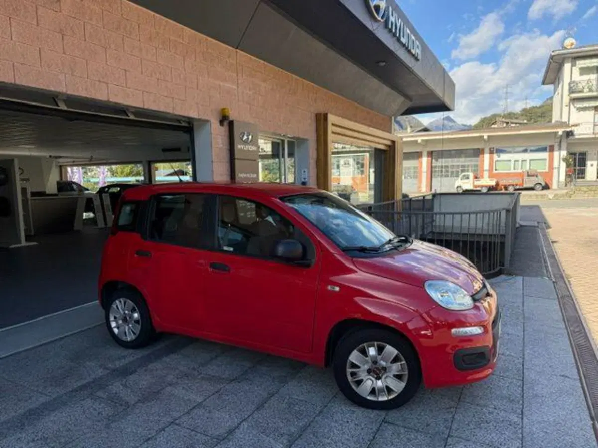 Fiat Panda usata a Verbano Cusio Ossola (10)