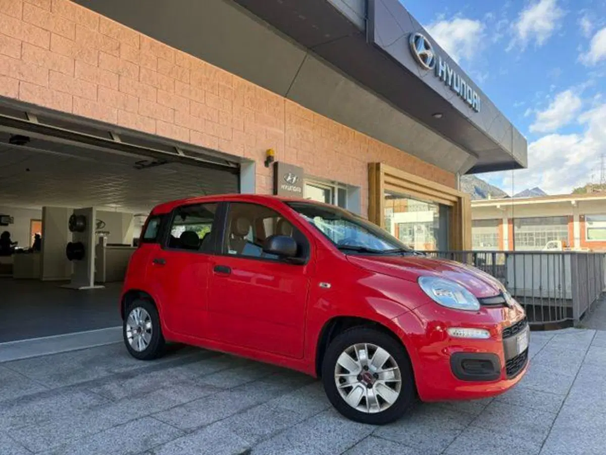 Fiat Panda usata a Verbano Cusio Ossola (2)