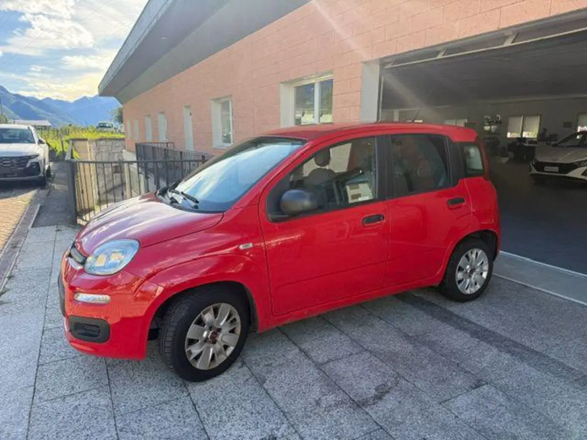 Fiat Panda usata a Verbano Cusio Ossola (4)