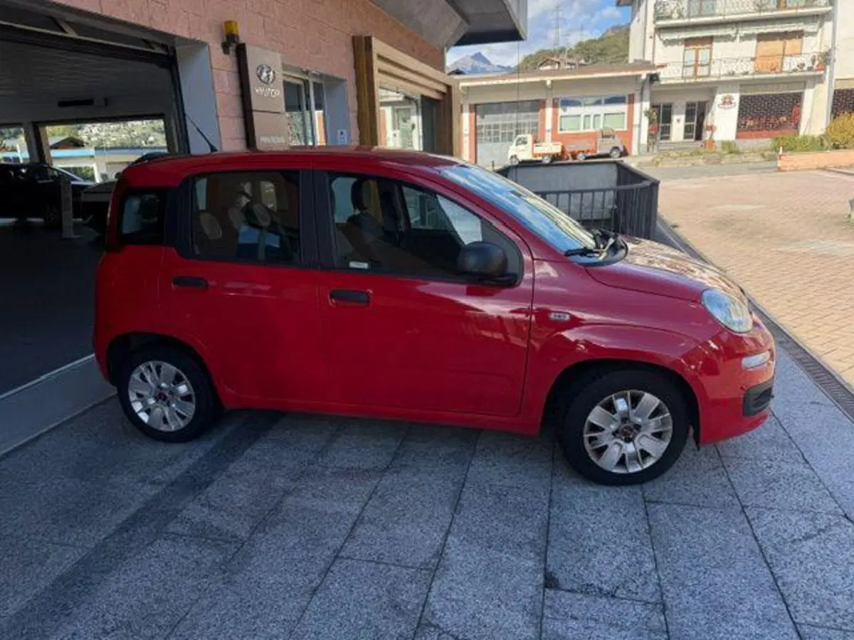 Fiat Panda usata a Verbano Cusio Ossola (7)