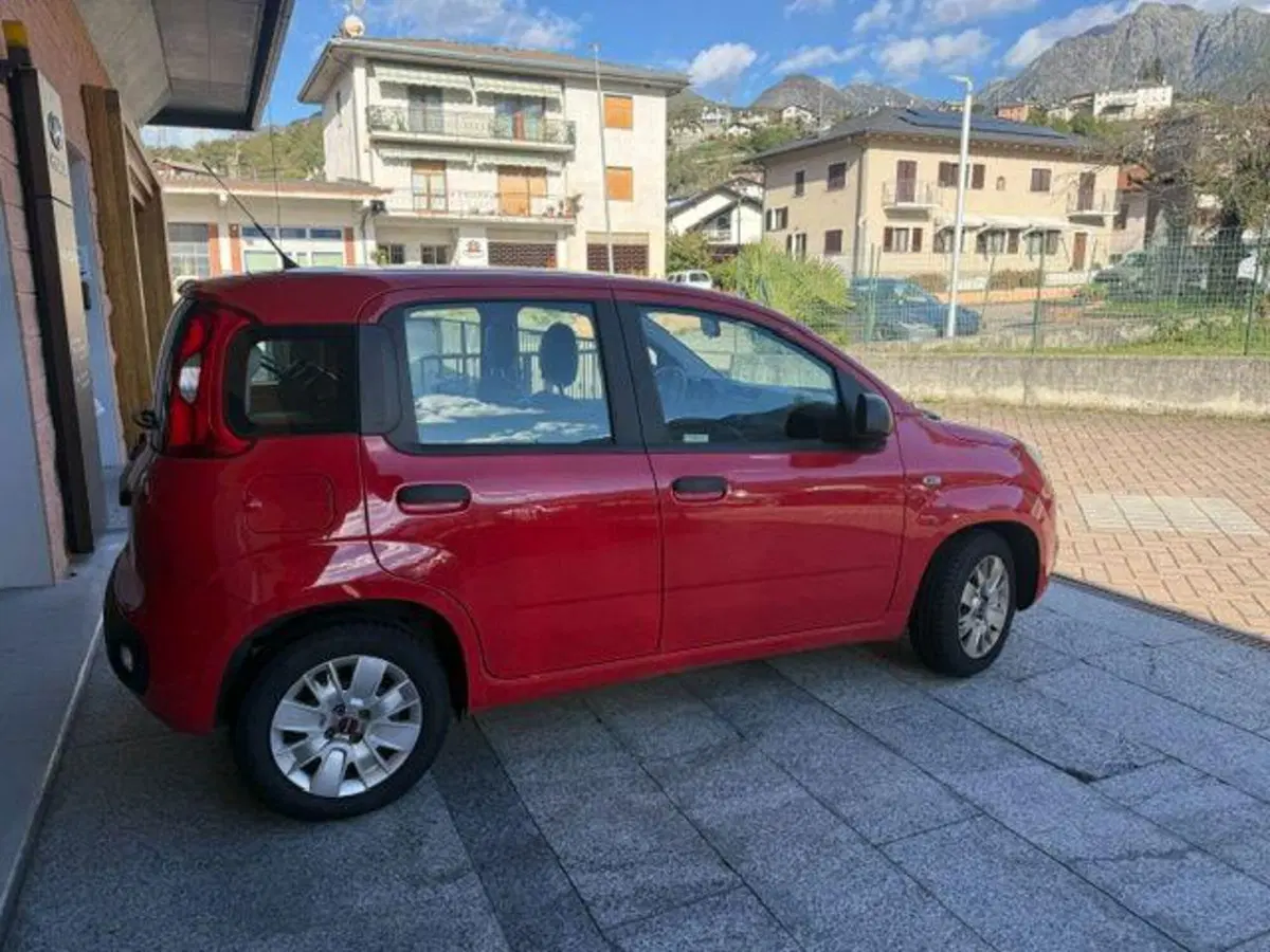 Fiat Panda usata a Verbano Cusio Ossola (8)