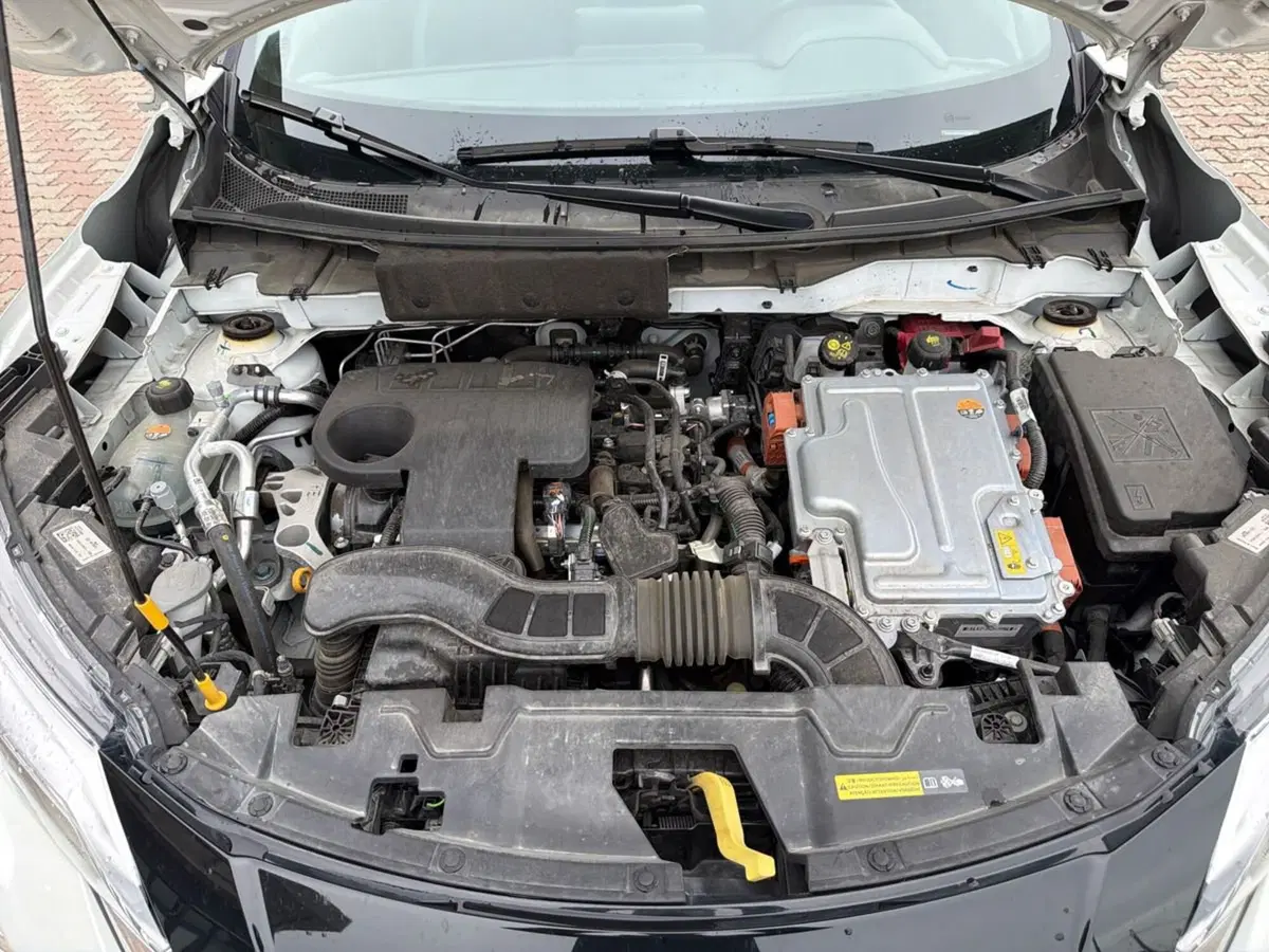 Nissan Juke usata a Siena (18)