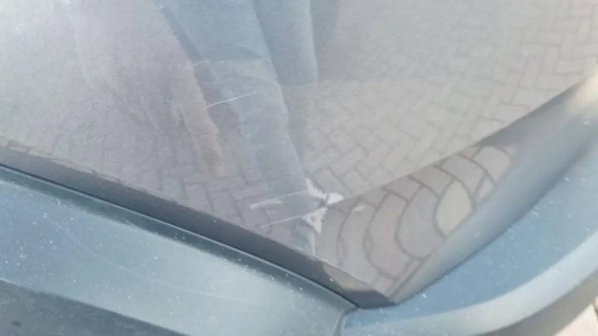 Dacia Duster usata a Savona (14)