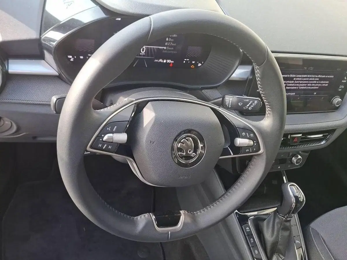 Skoda Fabia usata a Torino (10)