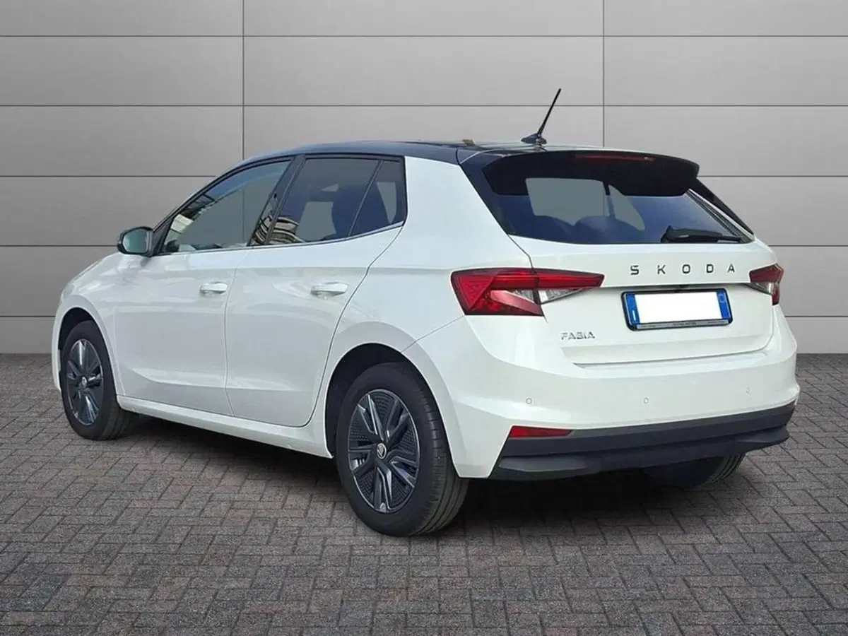 Skoda Fabia usata a Torino (2)