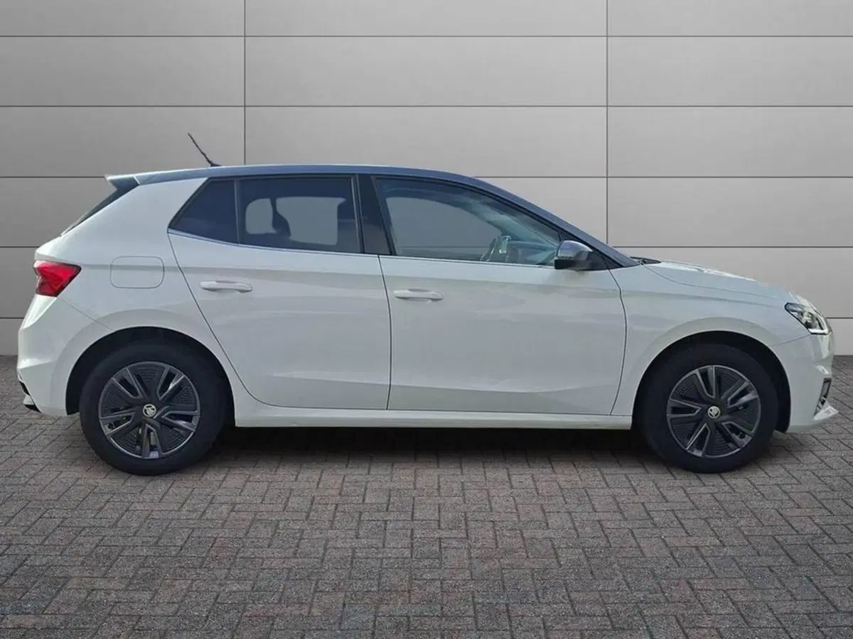 Skoda Fabia usata a Torino (3)