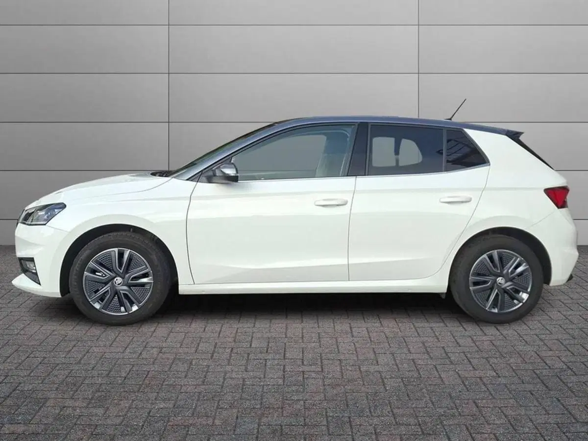 Skoda Fabia usata a Torino (4)