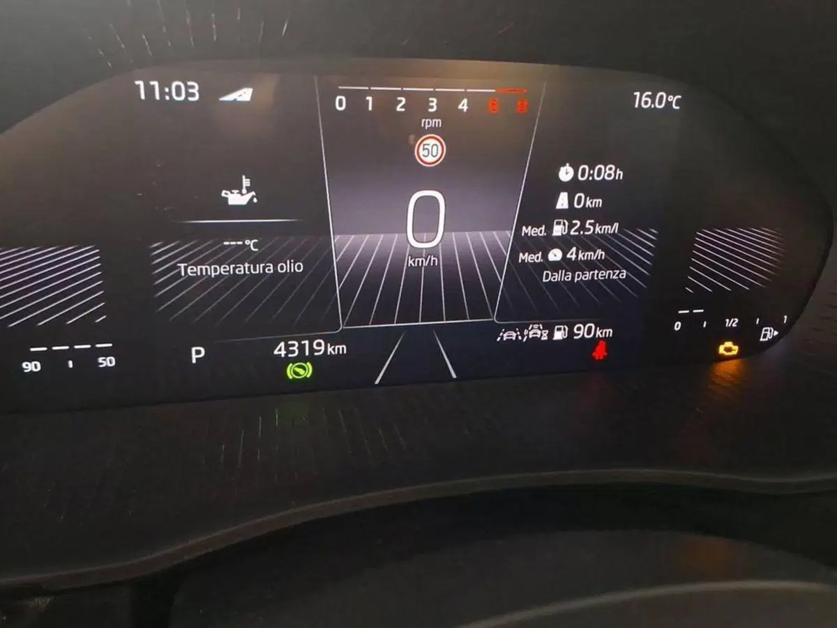 Skoda Fabia usata a Torino (6)