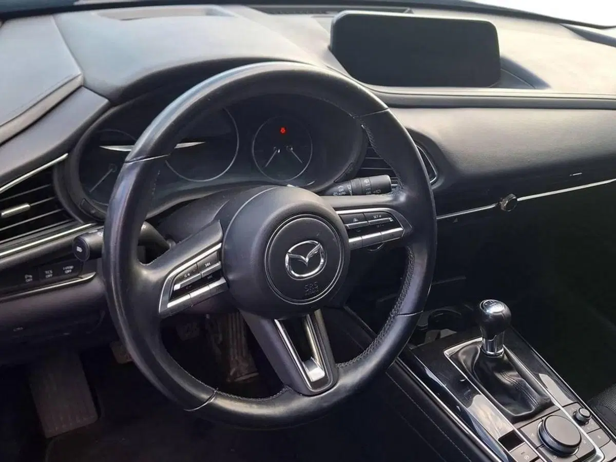 Mazda CX-30 usata a Torino (11)