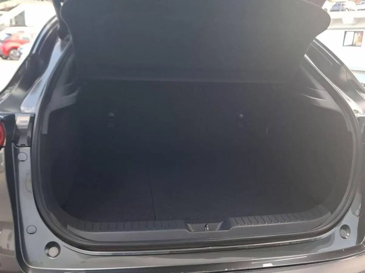 Mazda CX-30 usata a Torino (14)