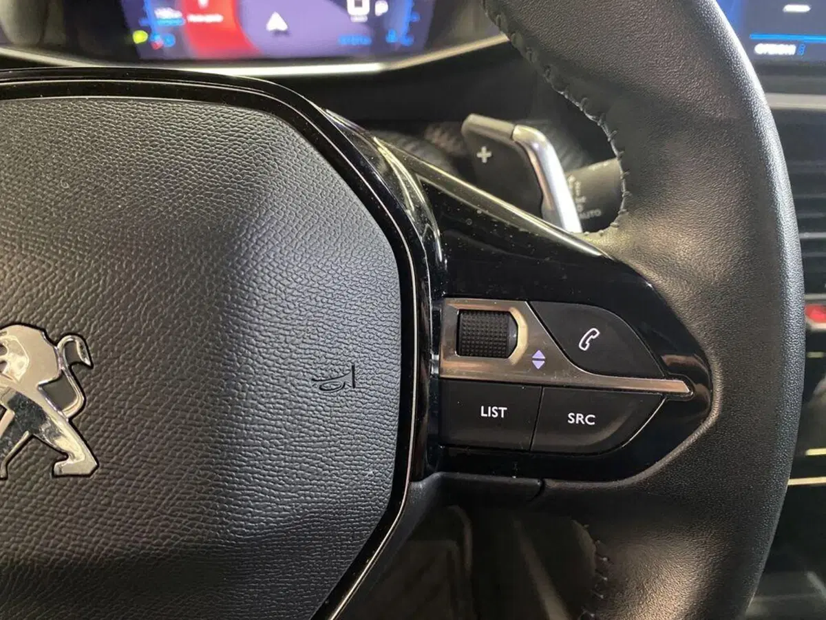 Peugeot 2008 usata a Torino (14)
