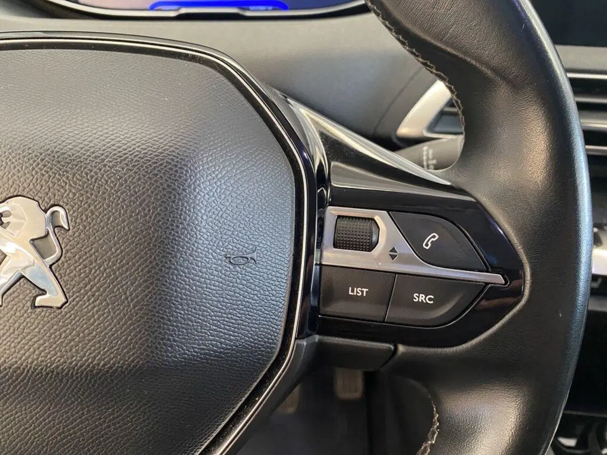 Peugeot 3008 usata a Torino (13)