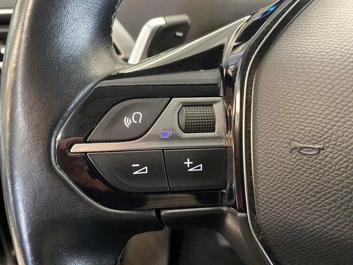 Peugeot 3008 usata a Torino (13)