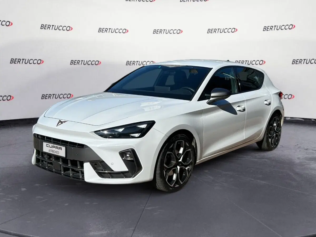 Cupra Leon usata a Verona (2)
