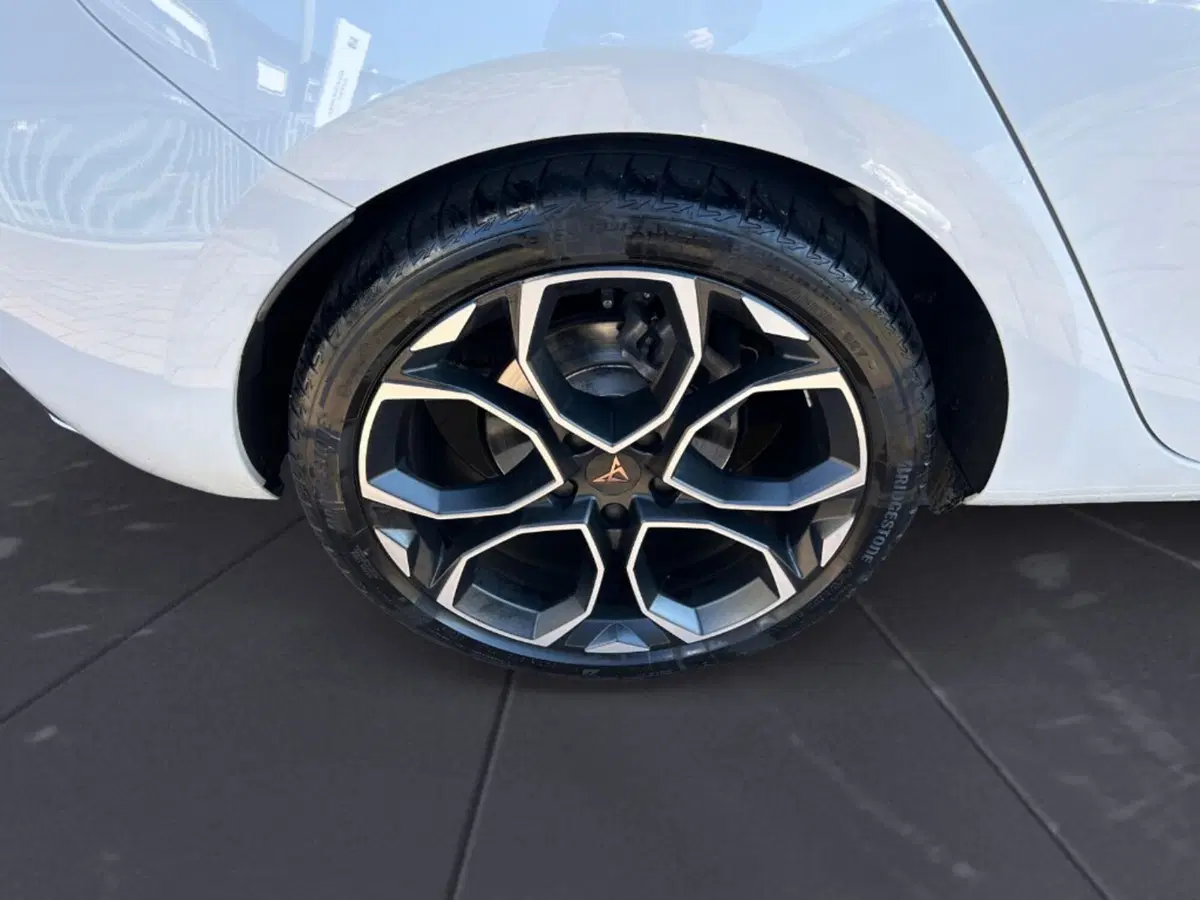 Cupra Leon usata a Verona (5)