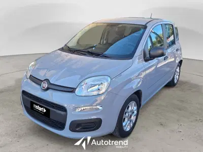 Fiat Panda Cross Cross 1.0 FireFly S&S Hybrid del 2021 usata a Bari