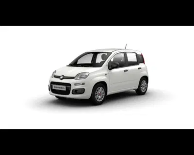 Fiat Pandina 1.0 firefly hybrid s&s 70cv nuova a Torino