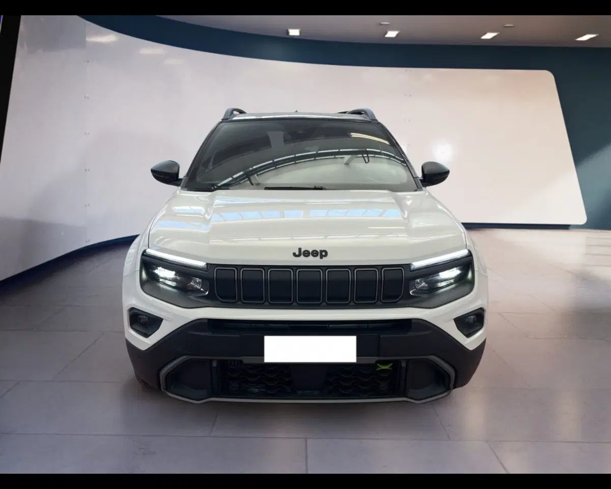 Jeep Avenger usata a Torino