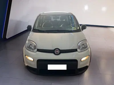 Fiat Panda Cross Cross 1.0 FireFly S&S Hybrid del 2023 usata a Torino
