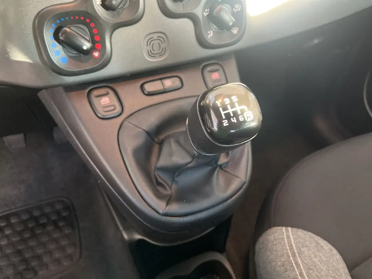 Fiat Panda Cross usata a Torino (11)