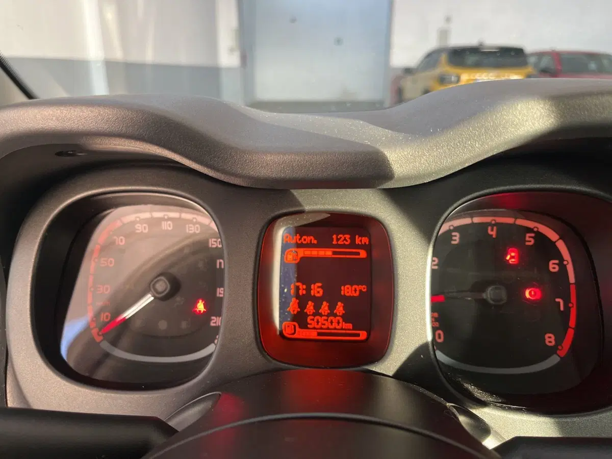 Fiat Panda Cross usata a Torino (13)