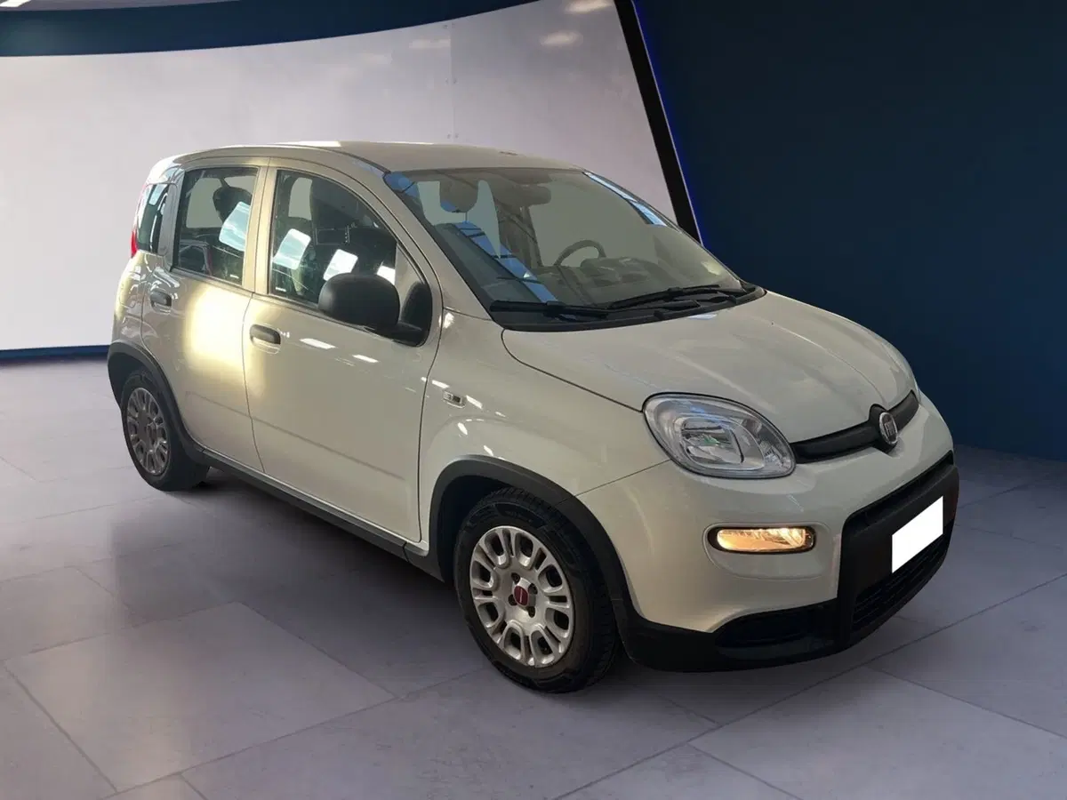 Fiat Panda Cross usata a Torino (2)